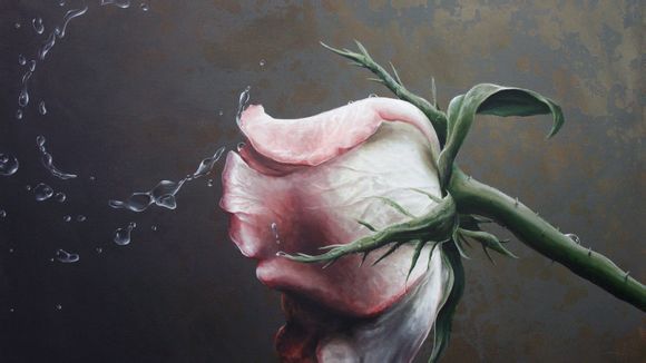 到底去哪里能看片