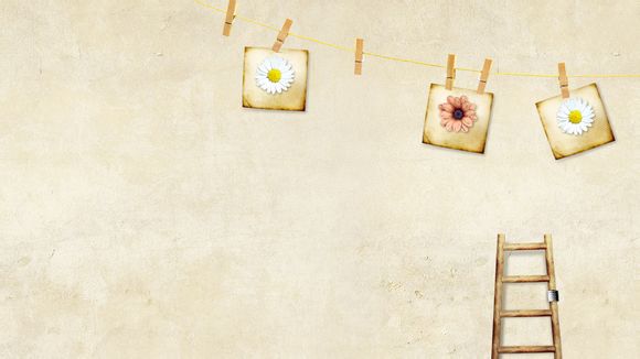 dispenser是什么意思