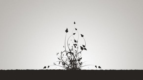 狂徒需要多少极速