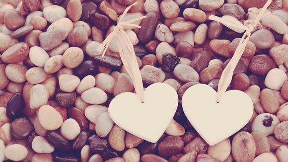 大象宝宝怀多久