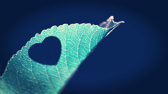 上古卷轴5骨骼怎么用