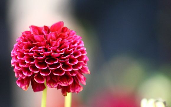 漫游基础精通有什么用