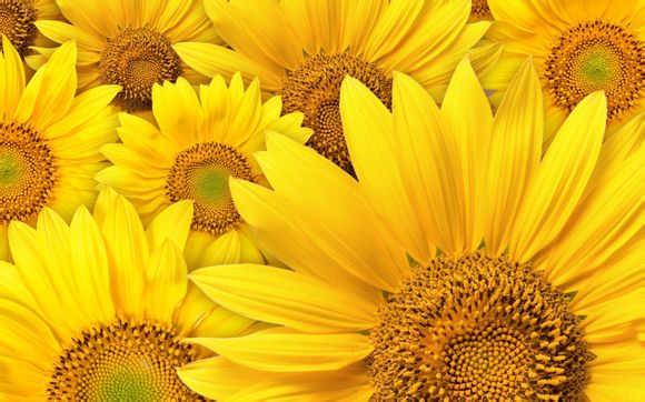 延迟的监测方法有哪些