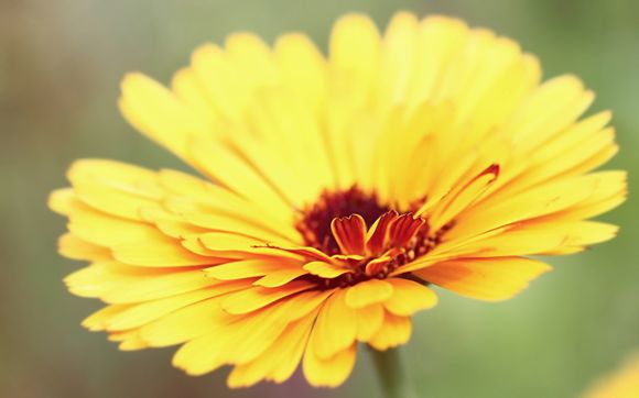 如何更改电信光猫密码