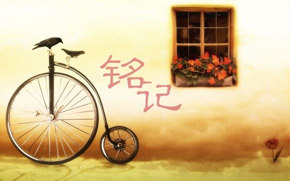 口香糖粘手机上怎么办