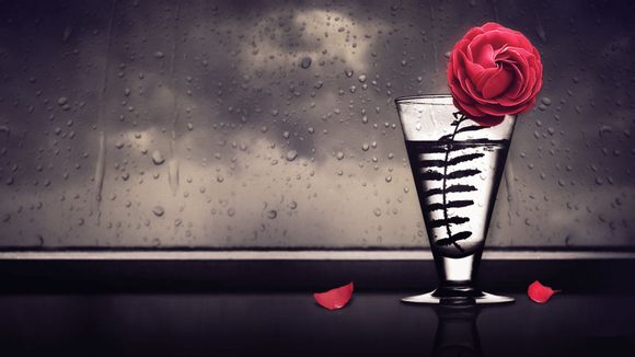 东岳大帝pp值是多少