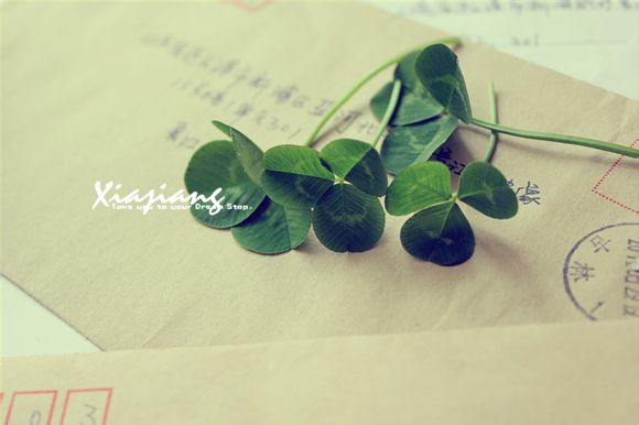 dnf锻造有哪些方法