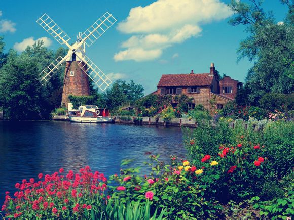 钟爱有加的意思是什么