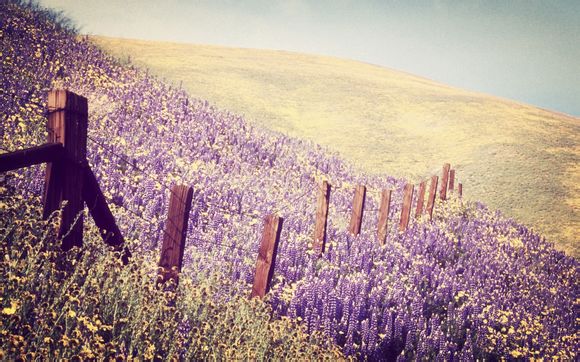 传世将军装备包括哪些