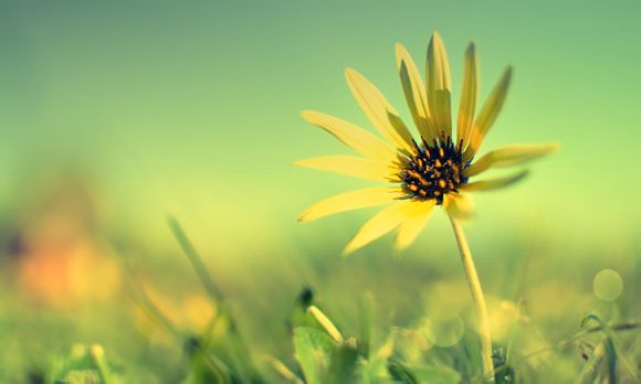 有什么刷步数软件