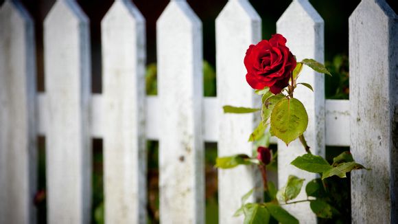 如何删除留言回复