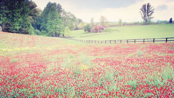 石距在哪里组队