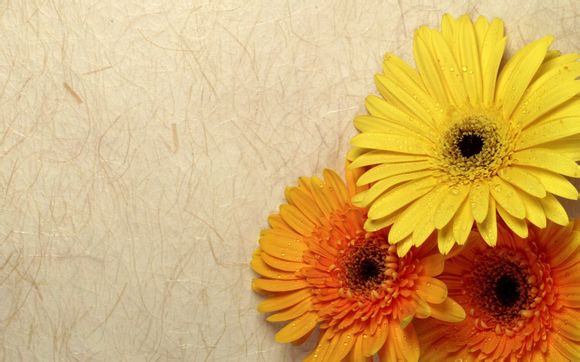 王者艾琳怎么获得