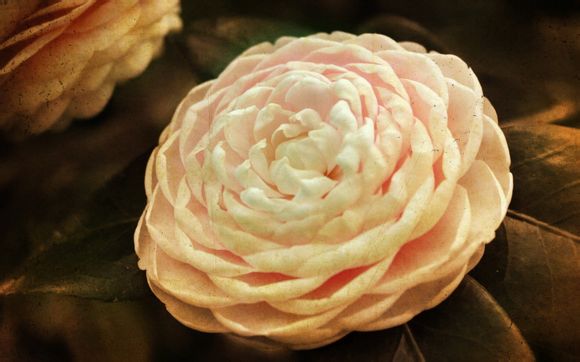 如何做一个asp网站