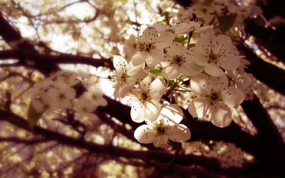 自由禁区多少gb