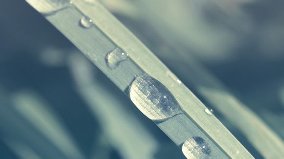 家庭电脑如何共享