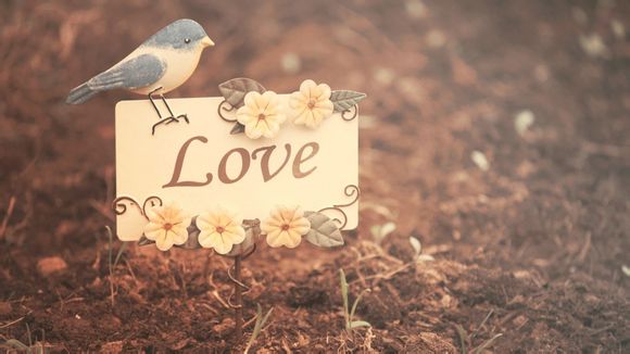 全民超神是什么