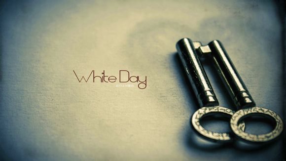 云雀饲料怎么做