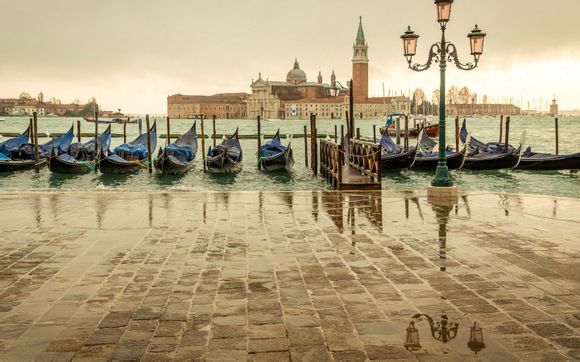 哪里有文曲星答案