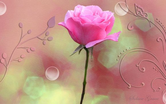 三国的英雄人物有哪些