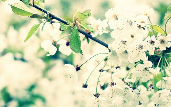 如何设置扣扣密码