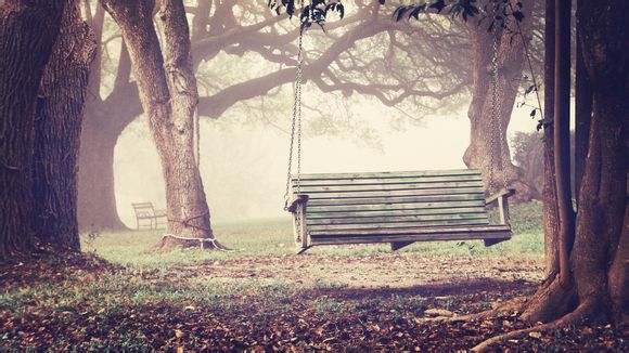神武4飞骑多少级