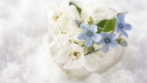 apex锁多少帧合适