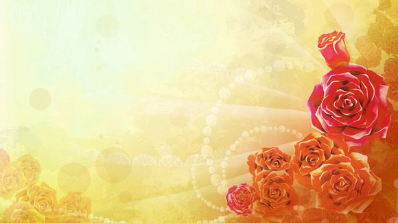 查询本机号码怎么查