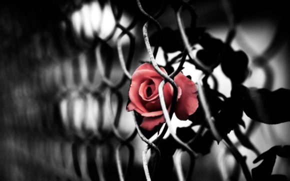 法斗头小怎么办