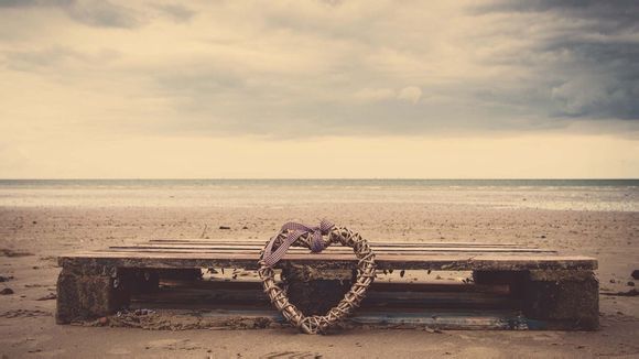 养猪有什么好处