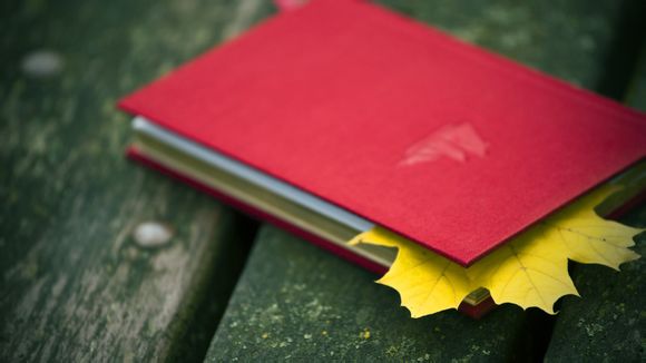 运行菜单在哪里