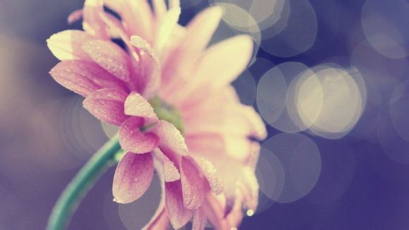 王者轮回有多少彩蛋