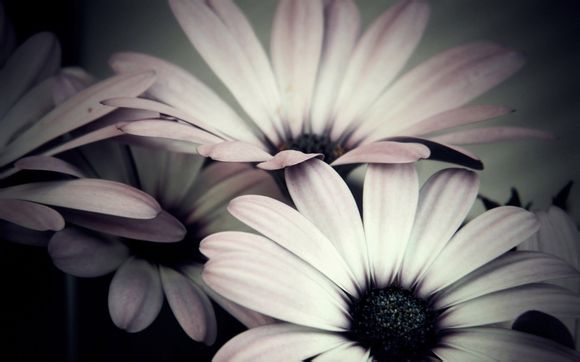 网卡为什么会坏